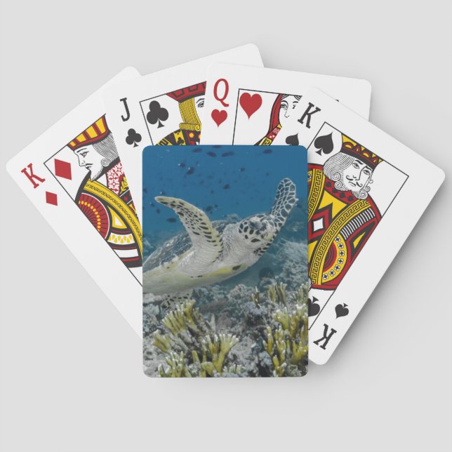 Baraja De Cartas Tortuga Carey Nadando (Reverso)