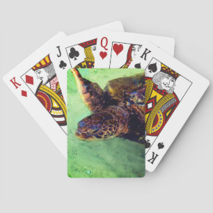 Baraja De Cartas Tortuga corta