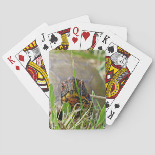 Baraja De Cartas Tortuga de caja
