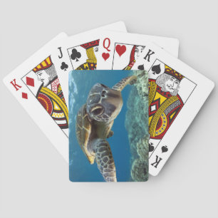 Baraja De Cartas Tortuga de mar verde hawaiana