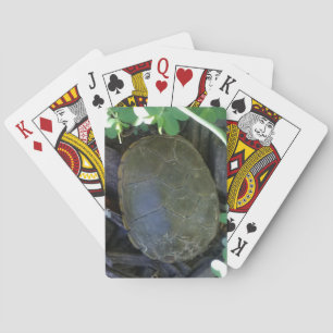 Baraja De Cartas Tortuga entre el follaje