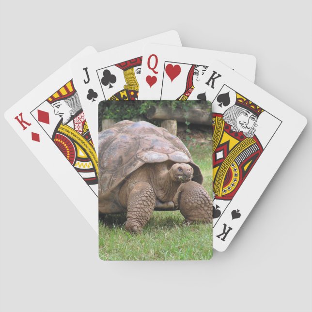 Baraja De Cartas Tortuga gigante (Reverso)