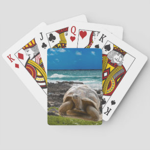 Baraja De Cartas Tortuga grande en el borde del mar