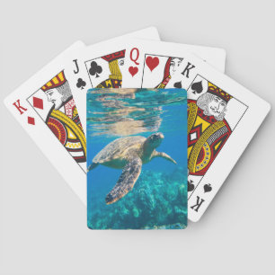 Baraja De Cartas Tortuga marina nadadora