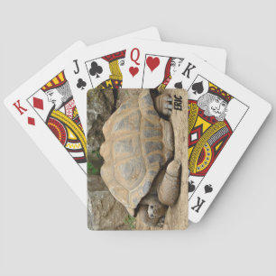 Baraja De Cartas Tortuga sonriente