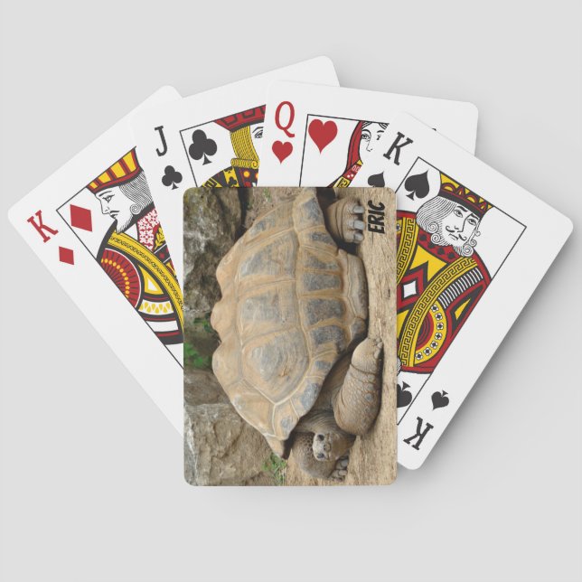 Baraja De Cartas Tortuga sonriente  (Reverso)