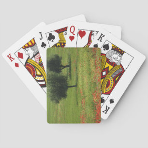 Baraja De Cartas Toscana