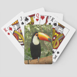 Baraja De Cartas Toucan en la rama del árbol