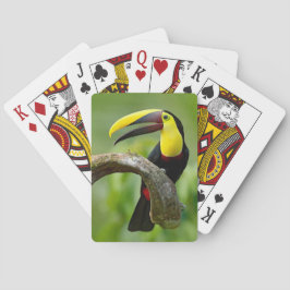 Baraja De Cartas Toucan sentado en la rama del bosque