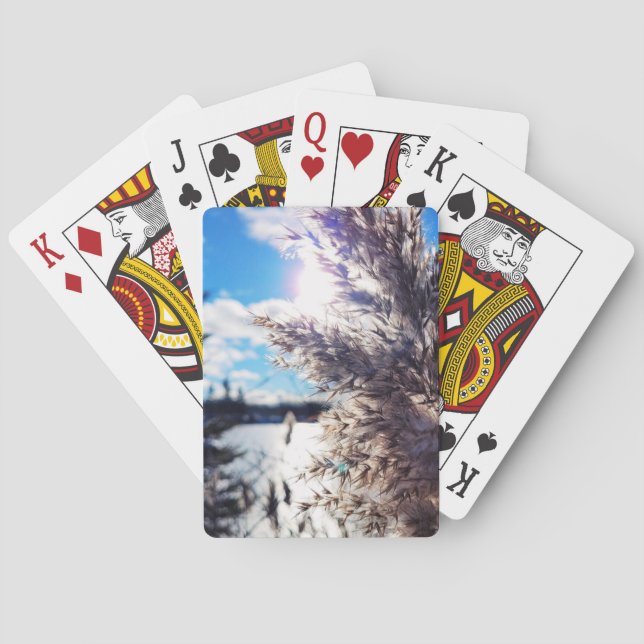 Baraja De Cartas Tout simplement beau 1 (Reverso)