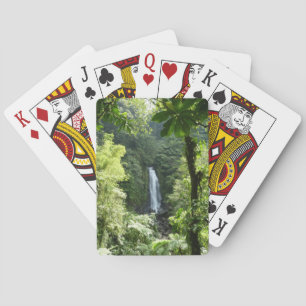 Baraja De Cartas Trafalgar cae fotografía tropical de selva tropica