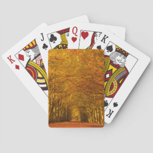 Baraja De Cartas Trayectoria que camina a través del bosque en