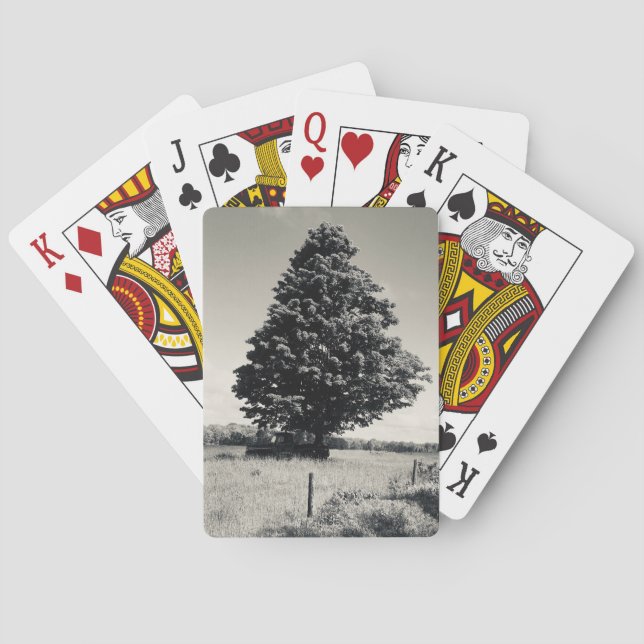 Baraja De Cartas tree playing cards (Reverso)