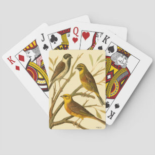 Baraja De Cartas Tres pájaros domésticos encaramados en una sucursa