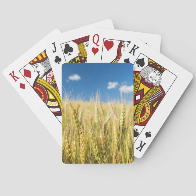 Baraja De Cartas Trigo de Kansas (Reverso)