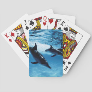 Baraja De Cartas Trío de delfines