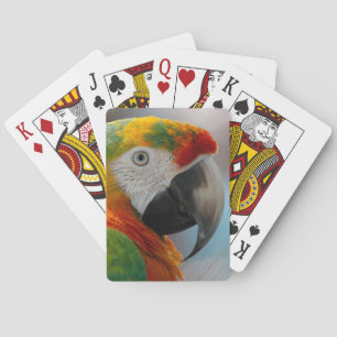 Baraja De Cartas Tropical Macaw Parrot
