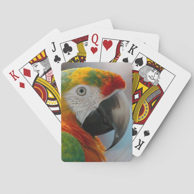 Baraja De Cartas Trópico de Macaw (Reverso)