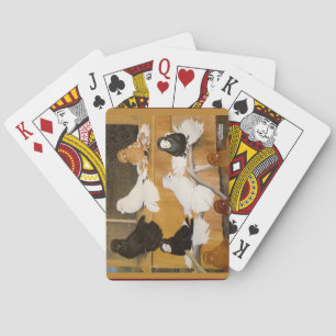 Baraja De Cartas Trumpeter Pigeon Champions