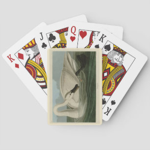 Baraja De Cartas Trumpeter Swan - de los pájaros de Estados Unidos