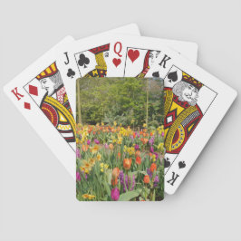 Baraja De Cartas Tulip