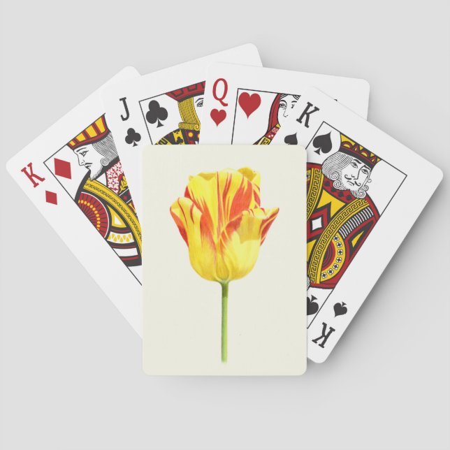 Baraja De Cartas Tulipán amarillo y rojo (Reverso)