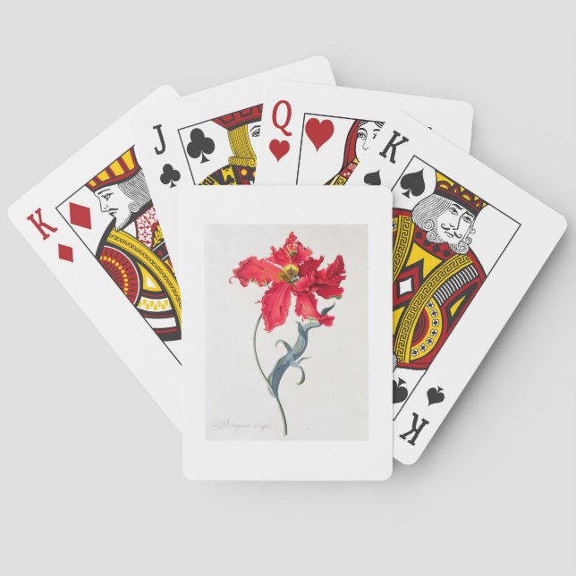 Baraja De Cartas Tulipán: Colorete de Perroquet (Reverso)