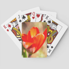 Baraja De Cartas Tulipán Rojo
