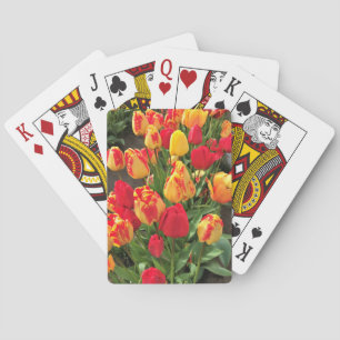 Baraja De Cartas Tulipanes amarillos y rojos