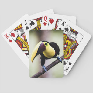 Baraja De Cartas Turco de Costa Rica