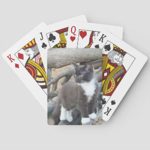Baraja De Cartas Tuxedo Kitten