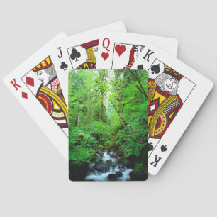 Baraja De Cartas Un arroyo en un bosque maduro