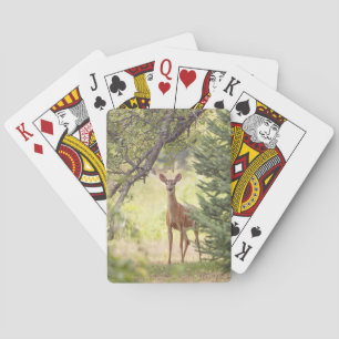 Baraja De Cartas Un ciervo solitario