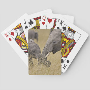 Baraja De Cartas Un elefante africano pastando en los campos