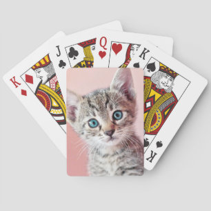 Baraja De Cartas Un gatito lindo con ojos azules.