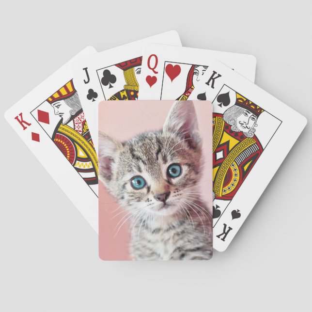 Baraja De Cartas Un gatito lindo con ojos azules. (Reverso)