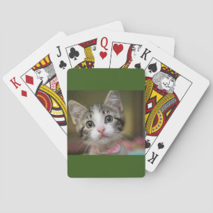 Baraja De Cartas Un gatito lindo con ojos verdes 