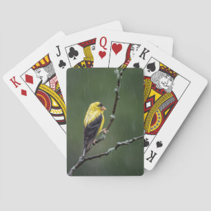 Baraja De Cartas Un Goldfinch Infeliz