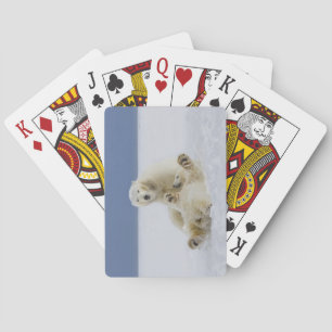 Baraja De Cartas Un oso polar femenino y su cachorro juegan en la