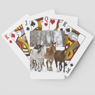 Baraja De Cartas Un paisaje invernal de carrera