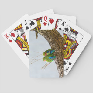 Baraja De Cartas Un par del Lovebird en una rama