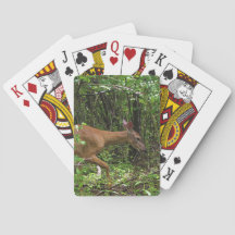 Un paseo a través de las maderas