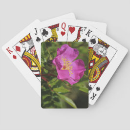 Baraja De Cartas Un solo color de rosa salvaje