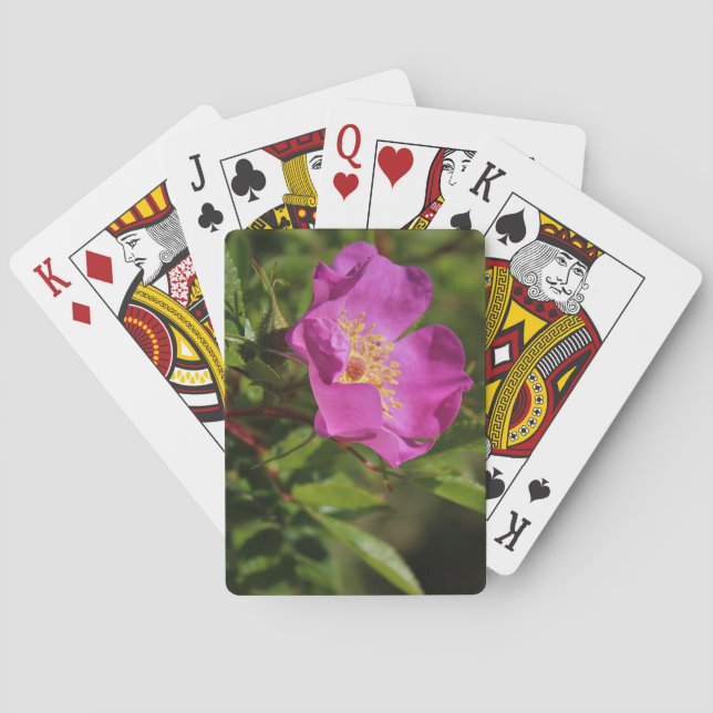 Baraja De Cartas Un solo color de rosa salvaje (Reverso)