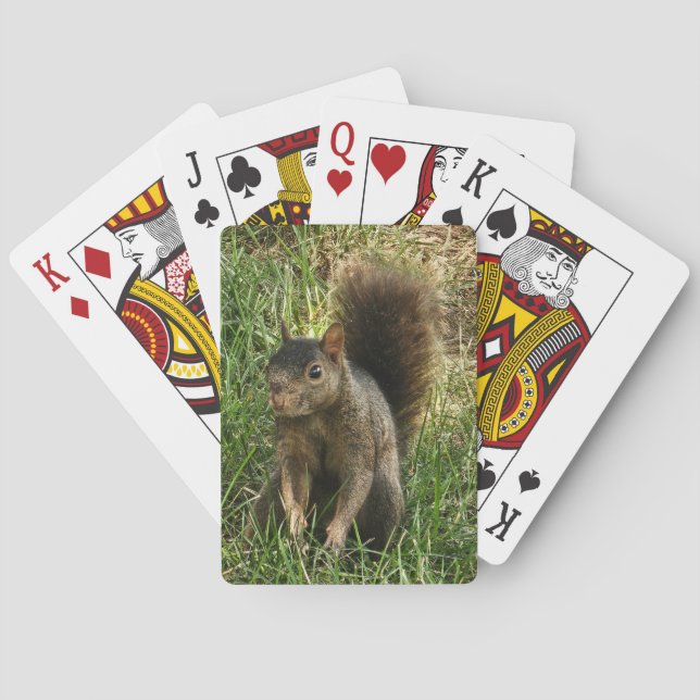 Baraja De Cartas Una ardilla negra (Reverso)