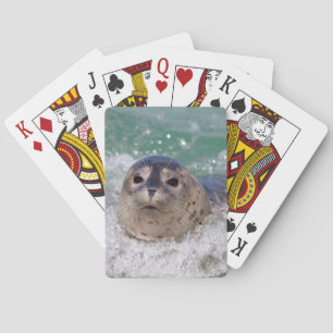 Baraja De Cartas Una cría de foca surfeando