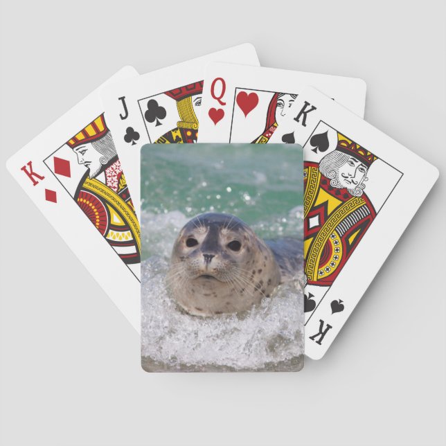 Baraja De Cartas Una cría de foca surfeando (Reverso)