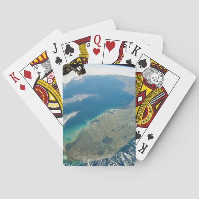 Baraja De Cartas Una Florida Oblíque, En La Costa Sureste (Reverso)