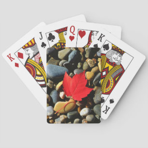 Baraja De Cartas Una hoja de arce sobre un fondo de roca