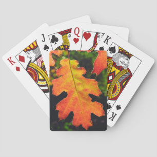 Baraja De Cartas Una hoja de roble en Six Rivers National Forrest
